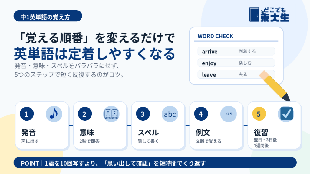 中1英単語の覚え方｜東大生が実践した5つのステップ